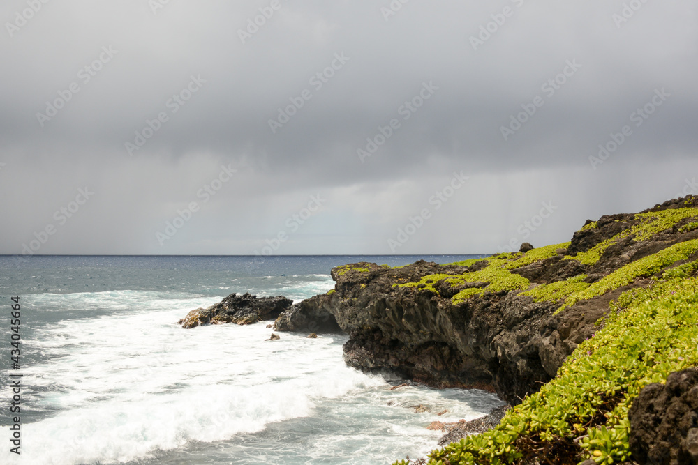 stormy lush green ocean coastline