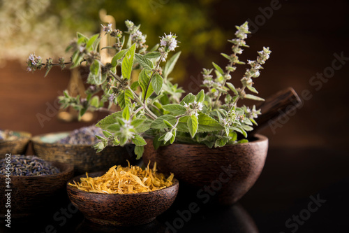 Black mirror background  Natural remedy  healing herbs