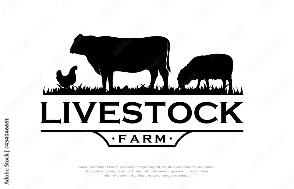 retro vintage, livestock Farm animal logo template Vector illustration.