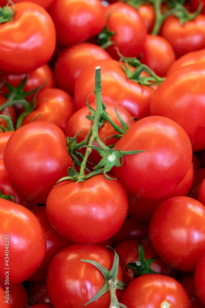 fresh bunch tomatoes in the market. bunch tomatoes in bulk. ripe tomatoes in a street market