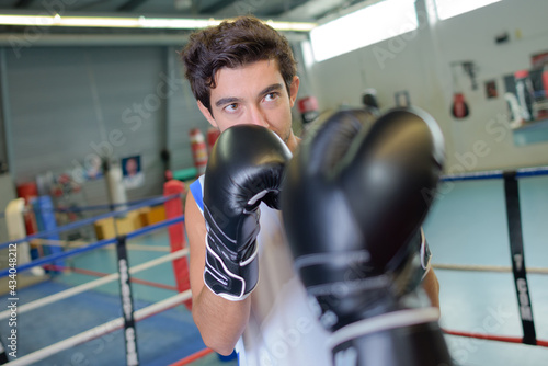 portrait of a focused young boxer © auremar