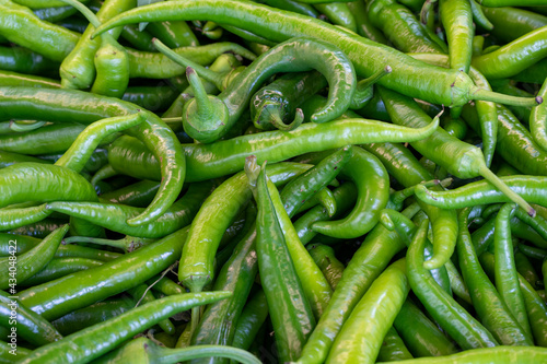 Fresh green hot peppers at the market. pepper in bulk. ripe peppers in a street market. green chili pepper © enezselvi