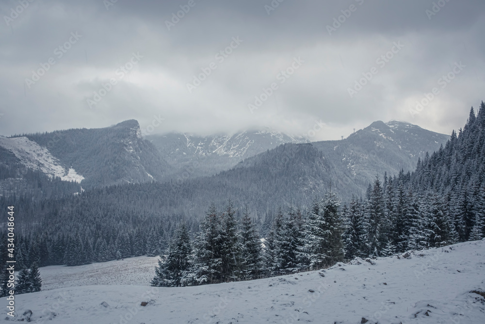 Heavy snowfall in Kalatówki, Western Tatra Mountains, Poland. Clouds over the peaks, trees covered with snow. Selective focus on the forest, blurred background.