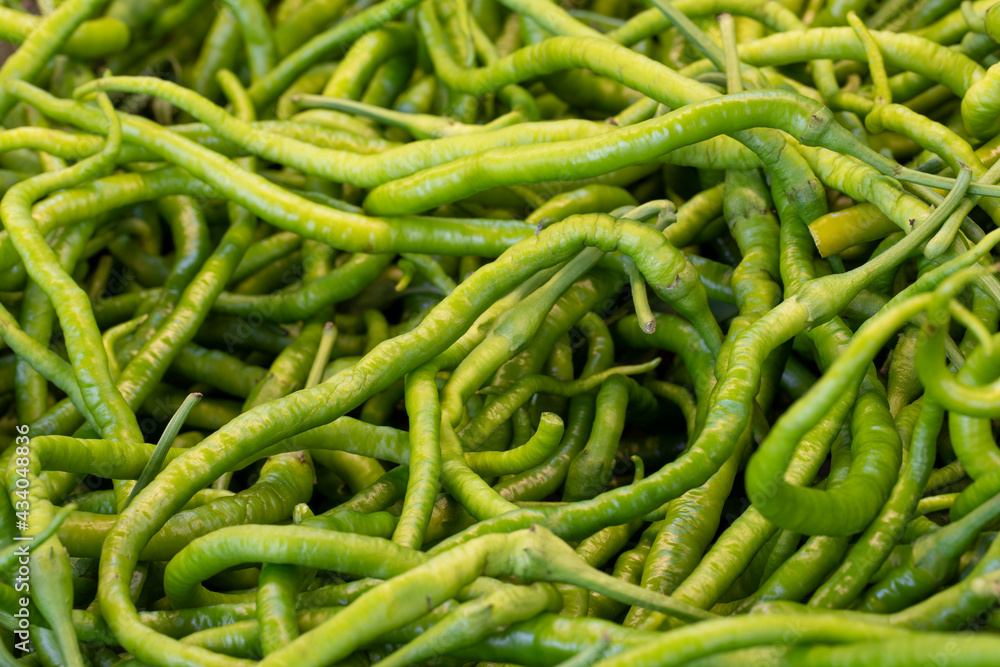 Fresh green hot peppers at the market. green peppers in bulk. ripe green peppers in a street market Fresh green hot peppers at the market. green peppers in bulk. ripe green peppers in a street market