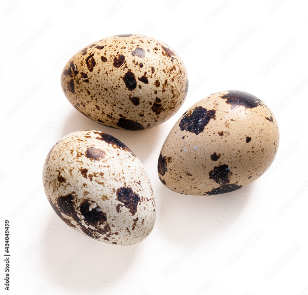 Quail eggs on white background. Clipping path. Quail eggs on white background. Clipping path.