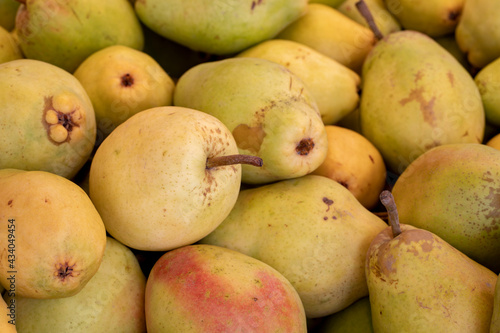 fresh pears in the market. pears in bulk. ripe pears in a street market