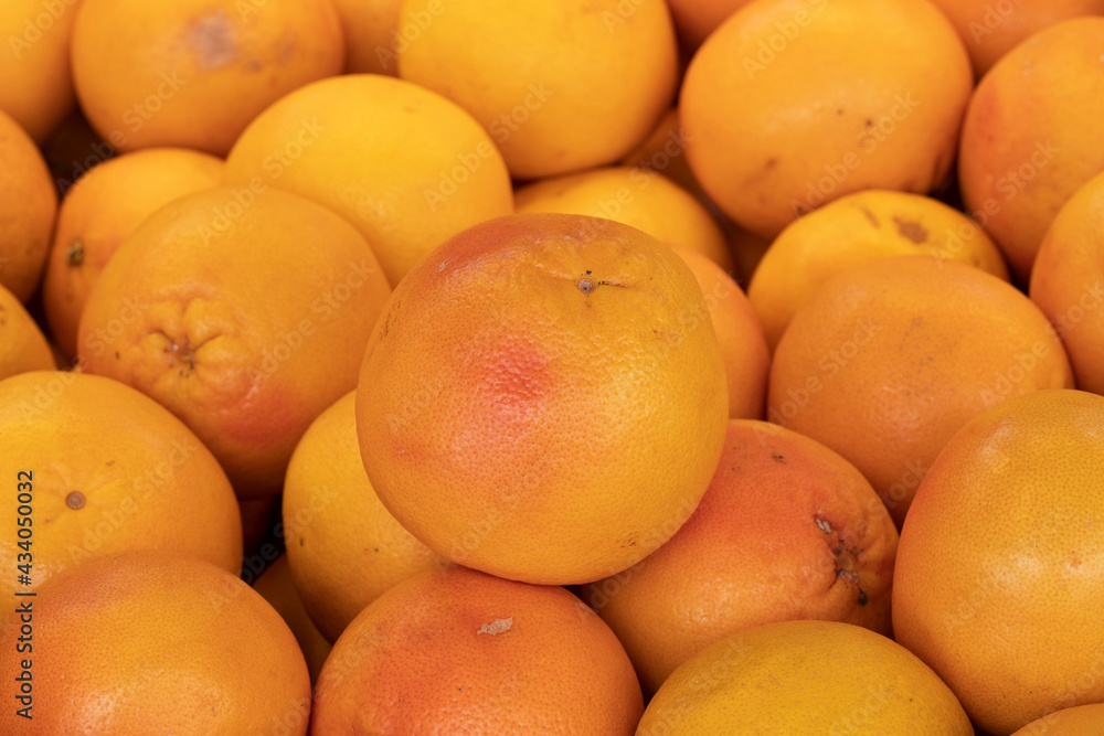 fresh grapefruit in the market. Grapefruit in bulk. ripe grapefruit in a street market fresh grapefruit in the market. Grapefruit in bulk. ripe grapefruit in a street market