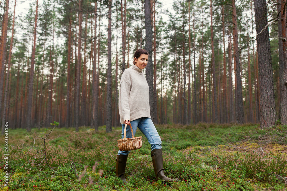 picking season and leisure people concept - young woman with mushrooms in wicker basket walking in forest picking season and leisure people concept - young woman with mushrooms in wicker basket walking in forest
