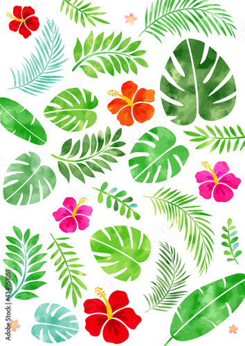 水彩 ハイビスカスとトロピカルな夏の背景フレーム