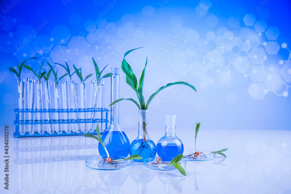 Chemistry equipment, plants laboratory experimental Chemistry equipment, plants laboratory experimental