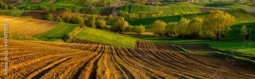 Beautiful undulating fields in the Polish Ponidzie region in spring