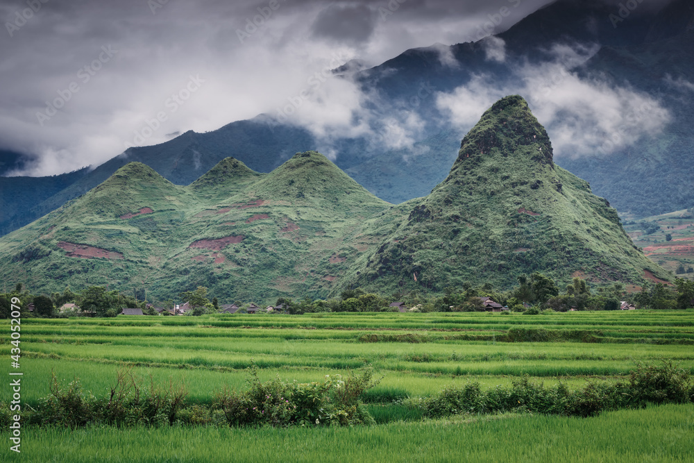 Landscaped Scenery View of Agriculture Rice Fields, Nature Landscape of Rice Terrace Field at Sapa, Vietnam. Panorama Countryside Valley Scenic With Mountain of Agricultural Farmland Background.