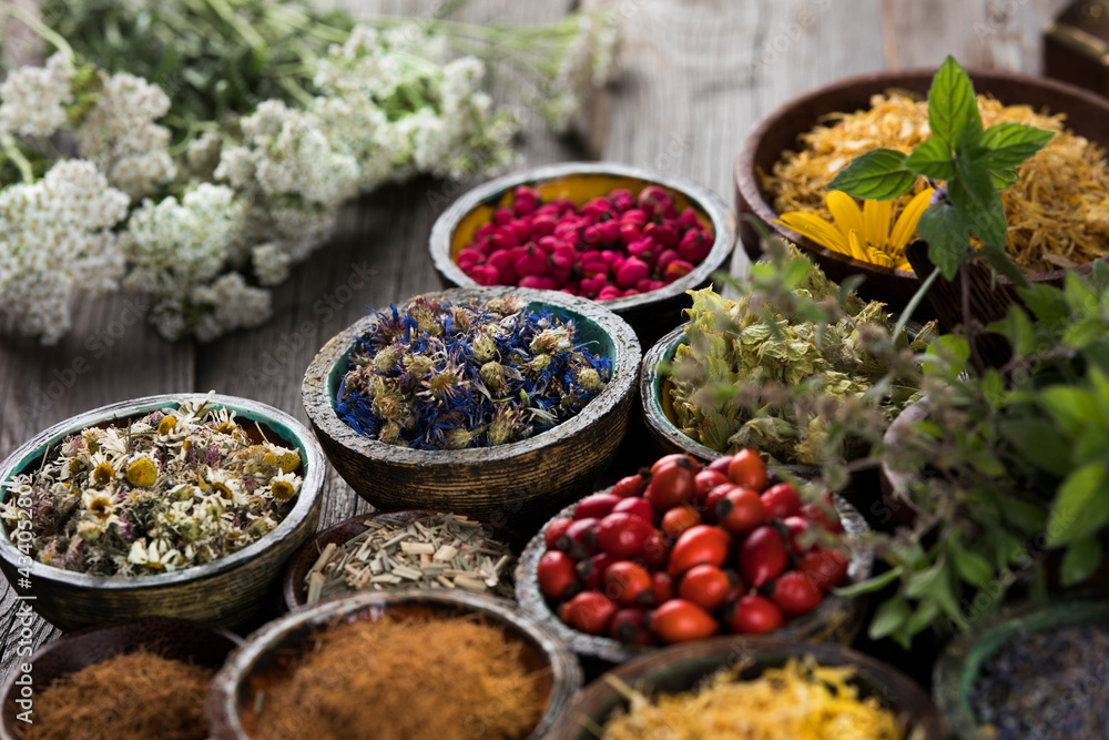 Fresh medicinal herbs on wooden background Fresh medicinal herbs on wooden background