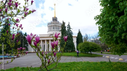 The park of Expocenter of Ukraine with magnolia bloom, Kyiv photo