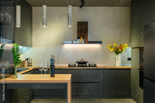 Modern large luxurious studio apartment with kitchen