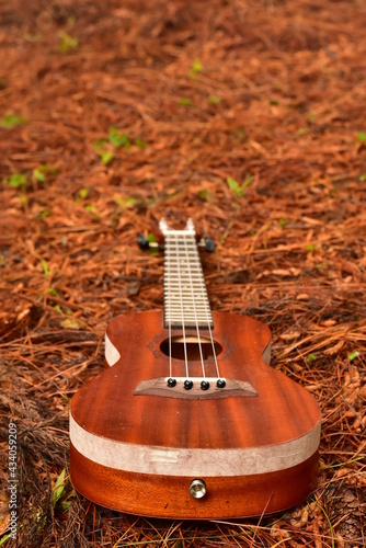 Soprano ukulele bottom view on golden yellow background.