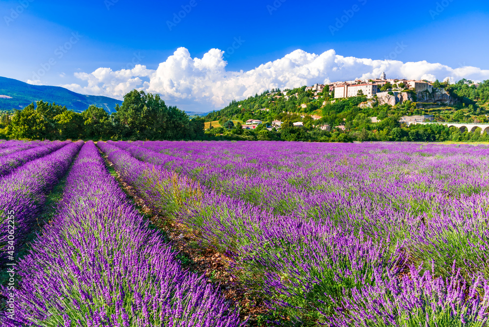 Sault, France - Provence lavender field scenic french village. - obrazy, fototapety, plakaty 