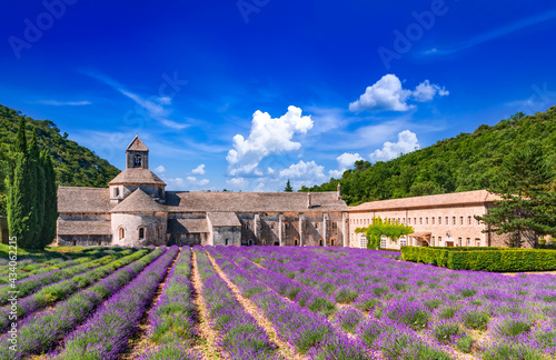 Abbaye de Senanque, Provence lavender in France photo