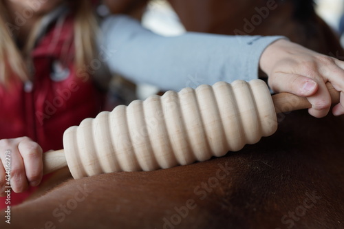 Faszienrolle Anwendung am Pferd