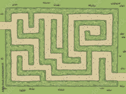 Garden maze bush graphic color sketch top aerial view illustration vector