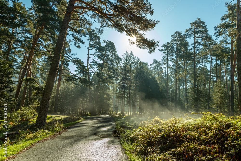 Naklejka premium Senda de las pesquerías reales en Valsaín Segovia