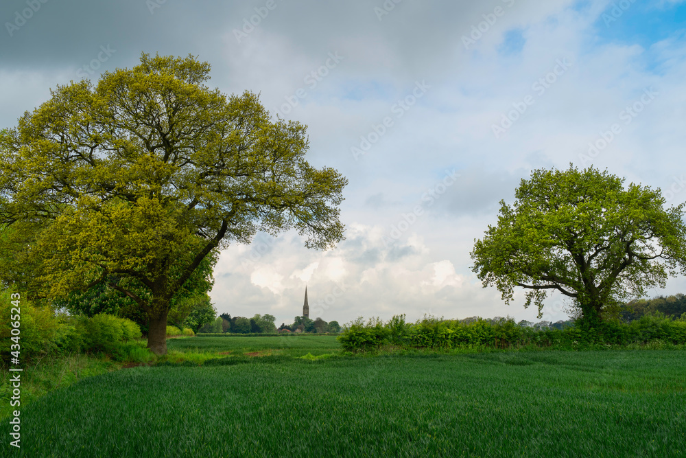 Rural landscape with fields of wheat and church on horizon under blue sky. Beverley, UK. Rural landscape with fields of wheat and church on horizon under blue sky. Beverley, UK.