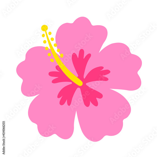 hibiscus flower, Hawaiian tropical plant