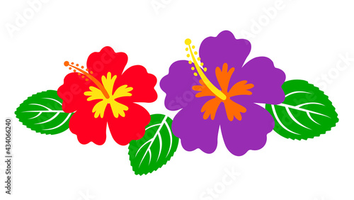 Hawaiian hibiscus flowers, tropical bouquet