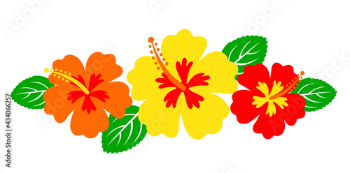 Hawaiian hibiscus flowers, tropical bouquet
