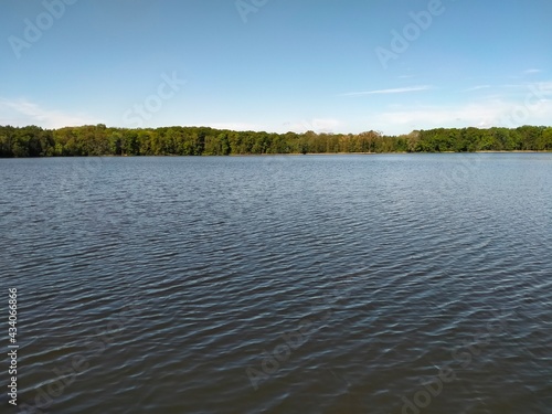 lake in the forest