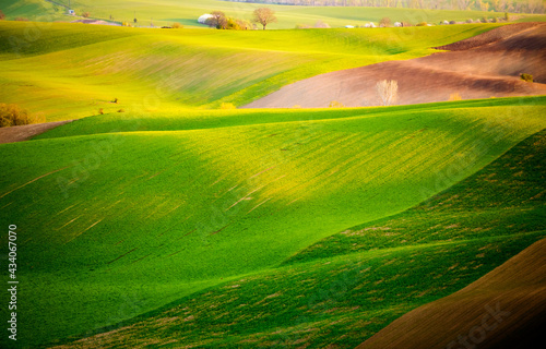 Perfect sunlight on the wavy fields of agricultural area. Location place of South Moravia region, Czech Republic, Europe. © Leonid Tit
