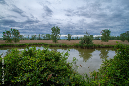 the torrazzuolo nonantola nature reserve emilia romagna italy photo