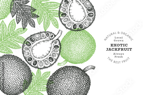 Hand drawn sketch style jackfruit banner. Organic fresh fruit vector illustration. Retro breadfruit design template