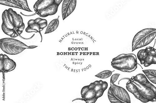 Hand drawn sketch style scotch bonnet pepper banner. Organic fresh vegetable vector illustration. Retro cayenne pepper design template