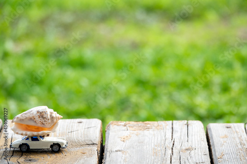 Wallpaper Mural closeup of car on old wood planks texture and grass background Torontodigital.ca