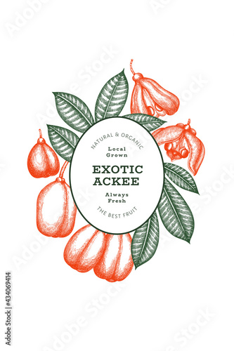 Hand drawn sketch style ackee banner. Organic fresh food vector illustration. Retro exotic fruit design template. Engraved style botanical background.