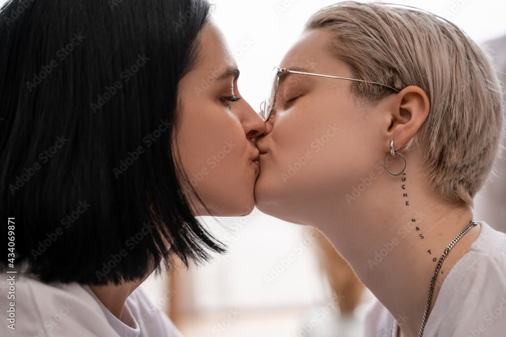 side view of loving lesbian couple kissing at home side view of loving lesbian couple kissing at home