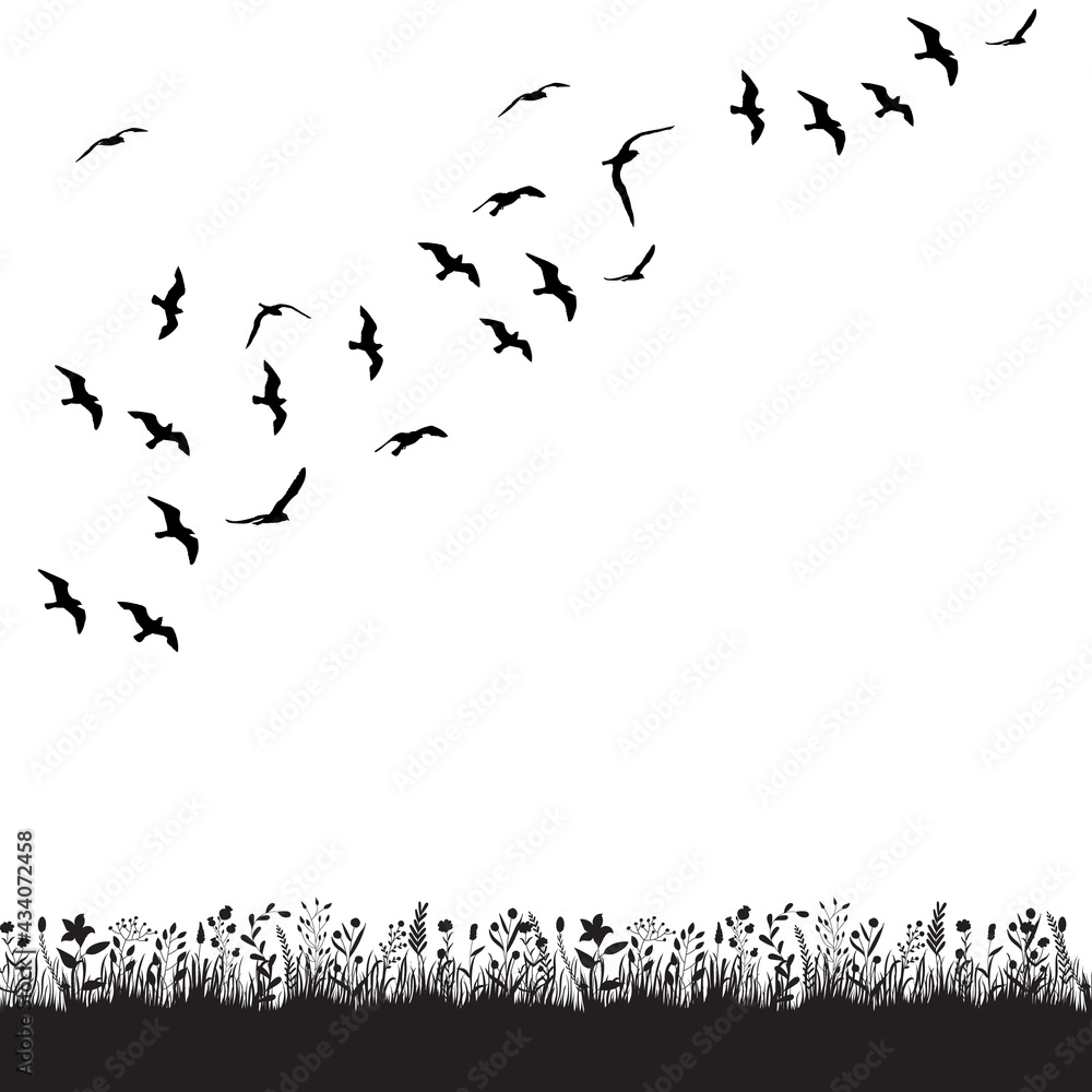 flock of birds flies in nature