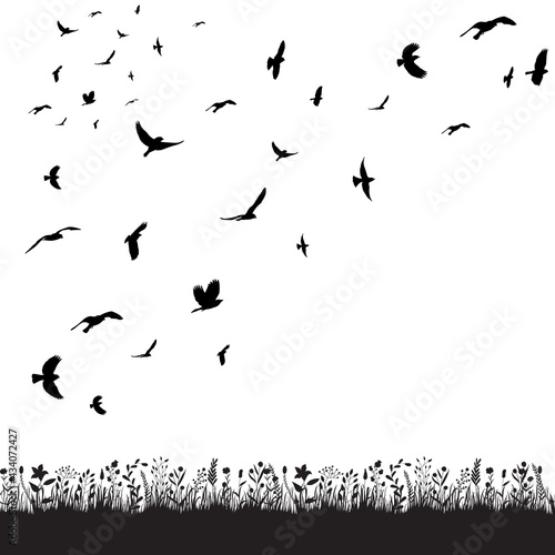 vector, isolated, a flock of birds flies in nature