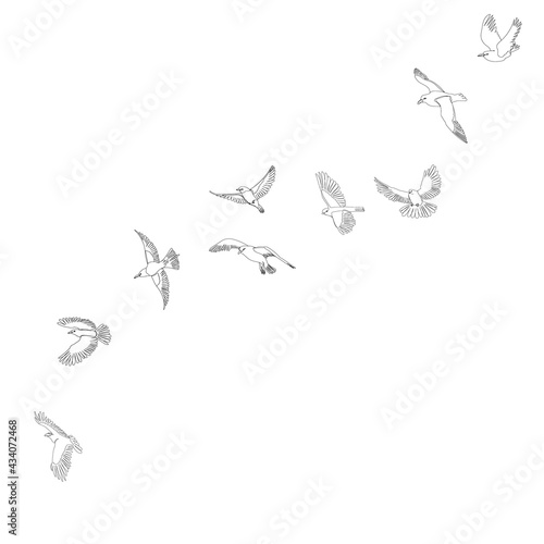 flock of birds flying sketch