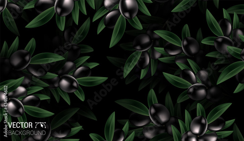 Natural Realistic pattern background with olive and leaves vector design Colorful dark background. Trendy repeat texture print wallpaper. Nature concept