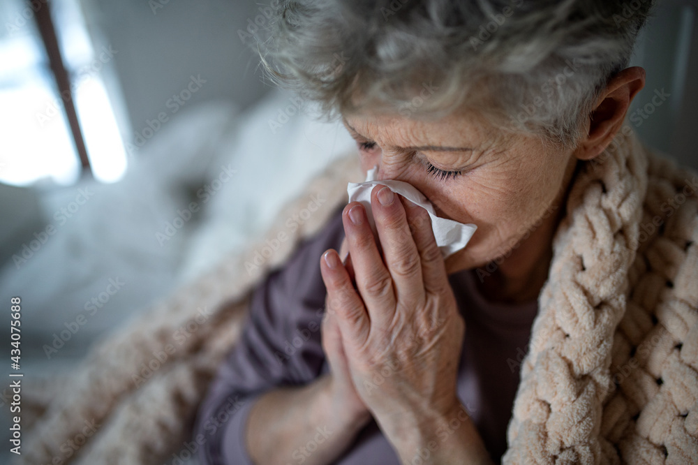 Sick senior woman in bed at home, sneezing and blowing nose. Sick senior woman in bed at home, sneezing and blowing nose.