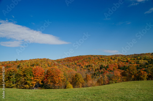 A beautiful view of the foliage on a sunny autumn afternoon in Vermont, United States