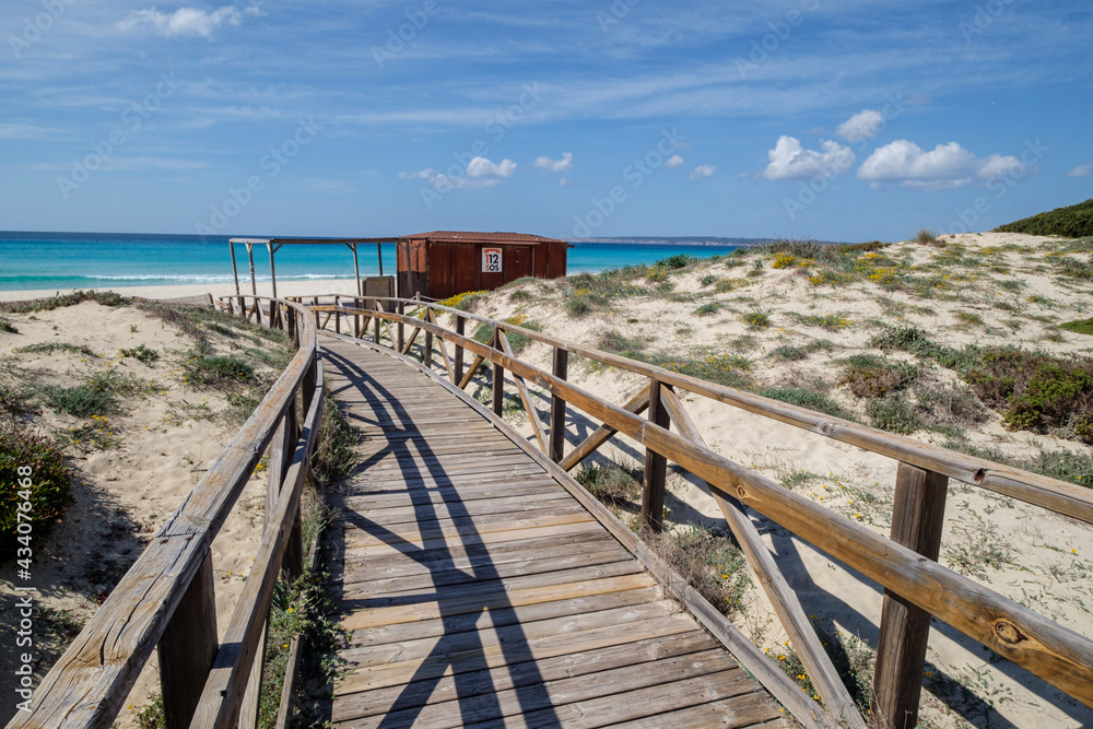 Es Arenals, Migjorn beach, Formentera, Pitiusas Islands, Balearic Community, Spain Es Arenals, Migjorn beach, Formentera, Pitiusas Islands, Balearic Community, Spain