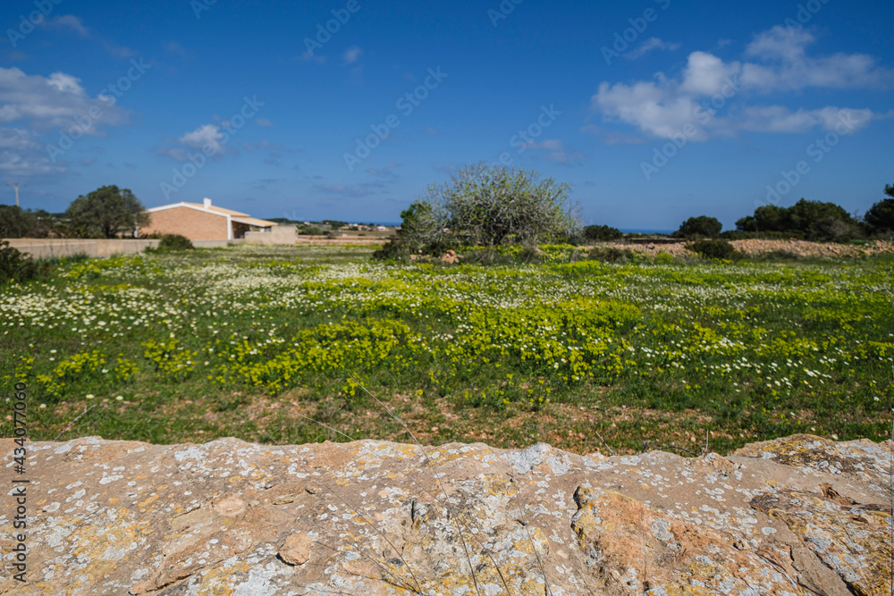green route on La Mola, Formentera, Pitiusas Islands, Balearic Community, Spain