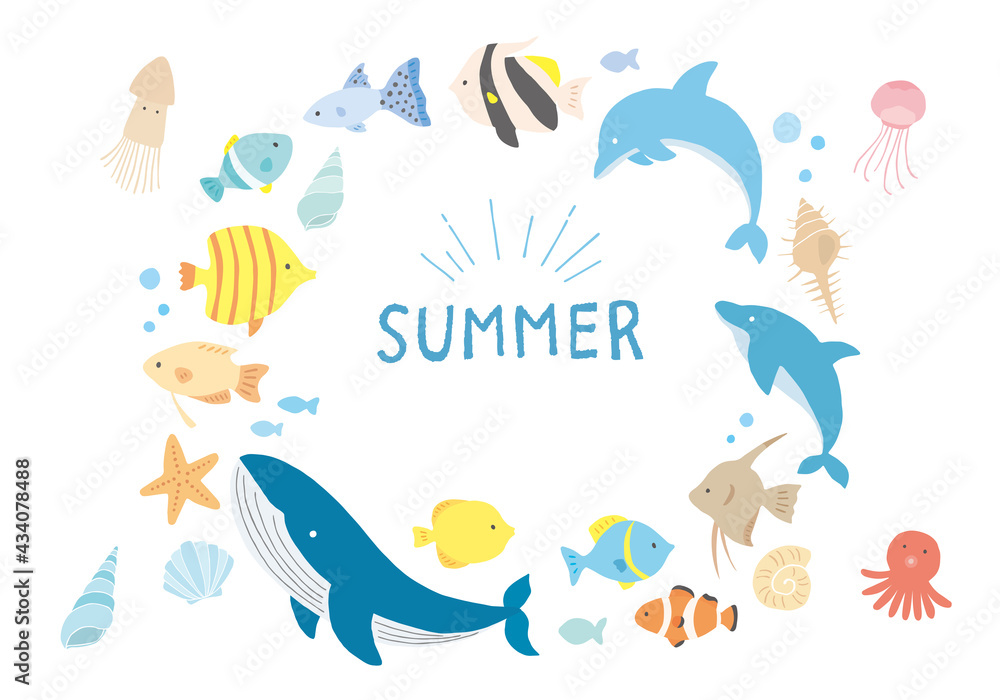 海の生き物や貝殻のイラストフレーム Stock Vector Adobe Stock 海の生き物や貝殻のイラストフレーム Stock Vector Adobe Stock