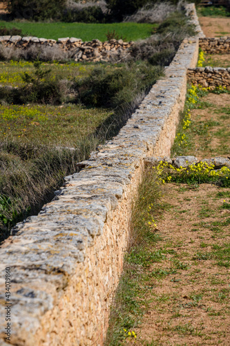 traditional stone walls for agricultural land, Portosale, Formentera, Pitiusas Islands, Balearic Community, Spain