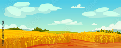 Rural summer landscape, field of ripe wheat on hills and dales, rural landscape trees, forest panorama on background. Organic grain, rye or oats cereal plants, malts abundance fertility, agriculture
