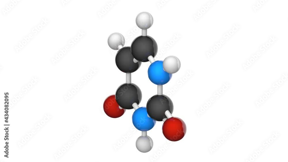 Uracil. Nitrogenous base molecular structure (DNA and RNA parts). Formula: C4H4N2O2. 3D render. Seamless loop. Chemical structure model: Ball and Stick. White background Uracil. Nitrogenous base molecular structure (DNA and RNA parts). Formula: C4H4N2O2. 3D render. Seamless loop. Chemical structure model: Ball and Stick. White background