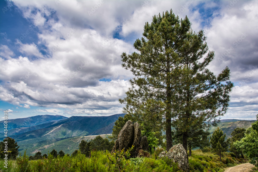 Majestic Landscape Of Forest And Mountains.
Landscape Of Sierra De Gata Located North Of Caceres In Extremadura-Spain. Landscape Concept Majestic Landscape Of Forest And Mountains.
Landscape Of Sierra De Gata Located North Of Caceres In Extremadura-Spain. Landscape Concept